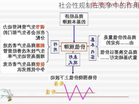 社会性规制在竞争中的作用