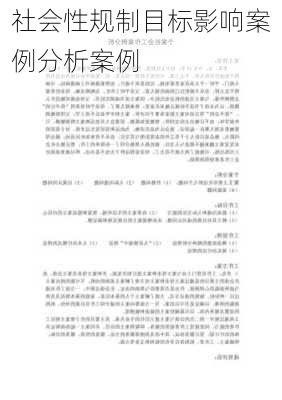 社会性规制目标影响案例分析案例