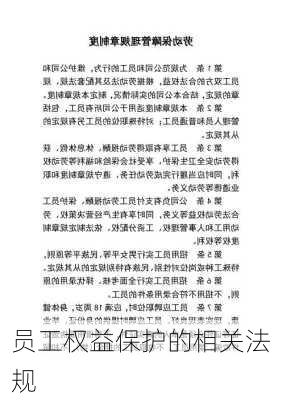 员工权益保护的相关法规