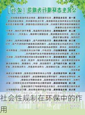 社会性规制在环保中的作用