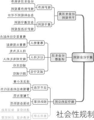 社会性规制