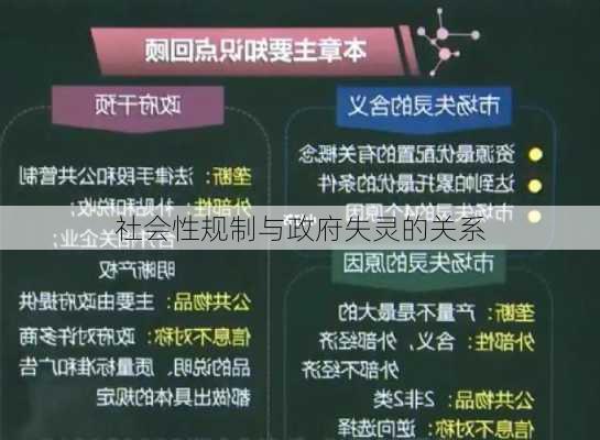 社会性规制与政府失灵的关系
