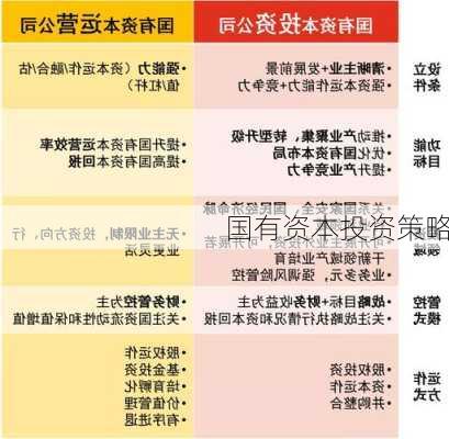 国有资本投资策略