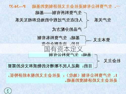 国有资本定义