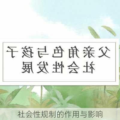 社会性规制的作用与影响