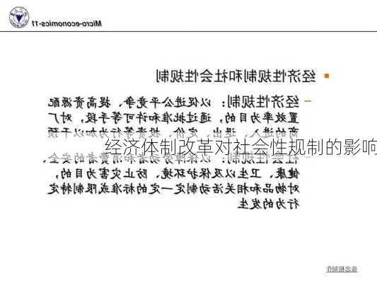 经济体制改革对社会性规制的影响