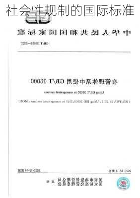 社会性规制的国际标准