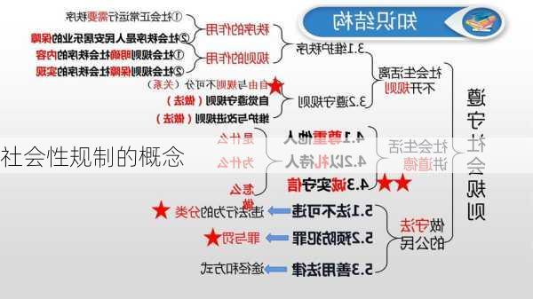 社会性规制的概念