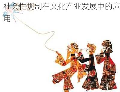 社会性规制在文化产业发展中的应用