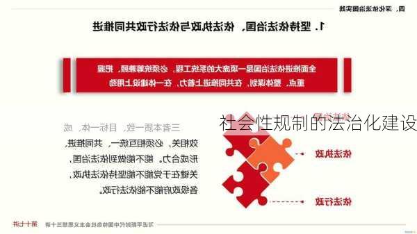 社会性规制的法治化建设