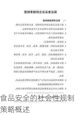 食品安全的社会性规制策略概述