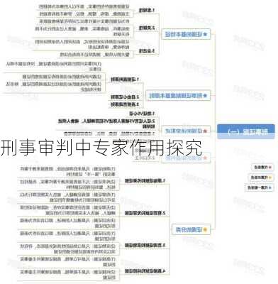 刑事审判中专家作用探究