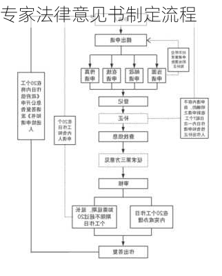专家法律意见书制定流程