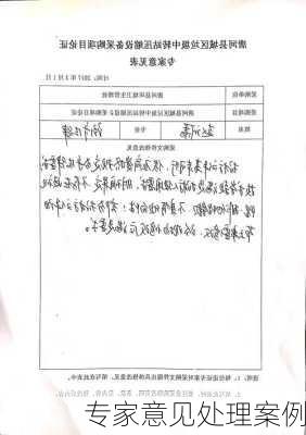 专家意见处理案例