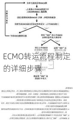 ECMO转运流程制定的详细步骤