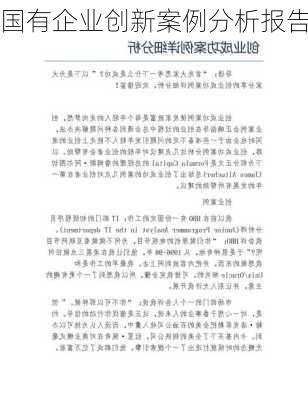国有企业创新案例分析报告