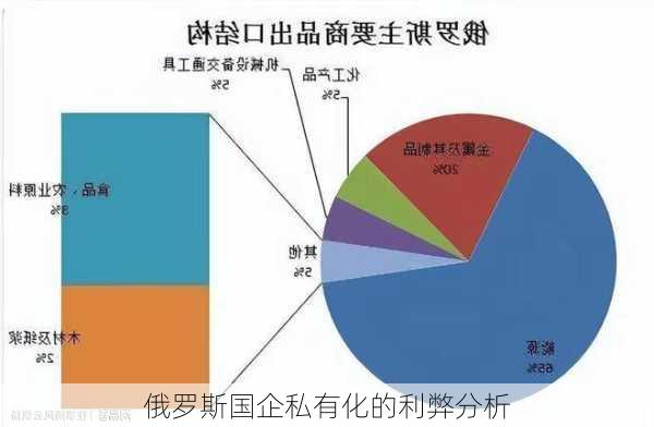 俄罗斯国企私有化的利弊分析