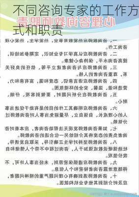 不同咨询专家的工作方式和职责