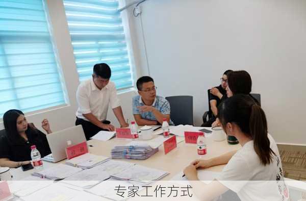 专家工作方式
