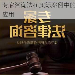 专家咨询法在实际案例中的应用