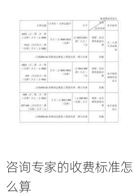 咨询专家的收费标准怎么算