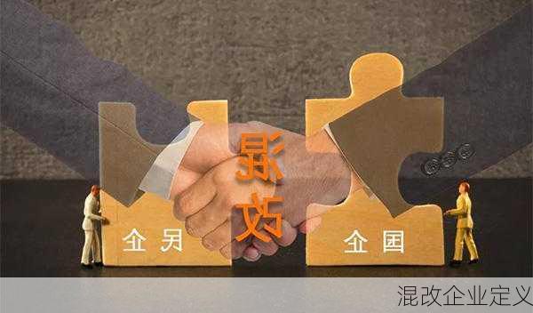 混改企业定义