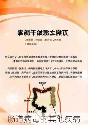 肠道病毒的其他疾病