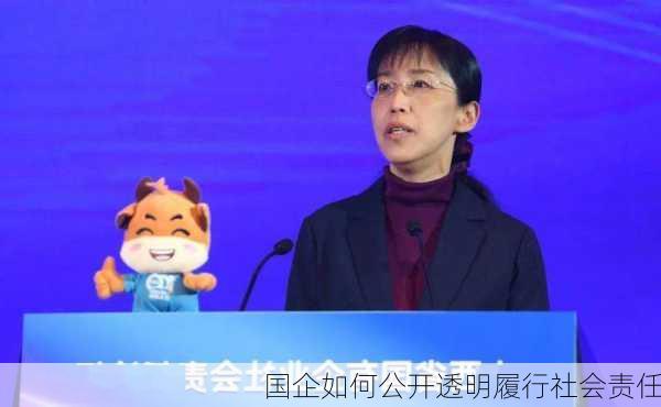 国企如何公开透明履行社会责任