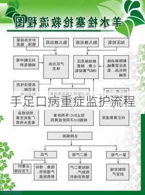 手足口病重症监护流程