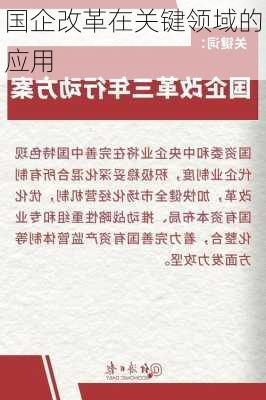 国企改革在关键领域的应用