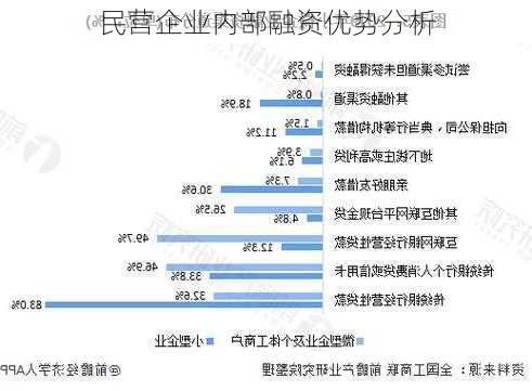 民营企业内部融资优势分析