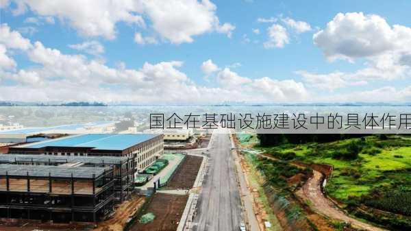 国企在基础设施建设中的具体作用