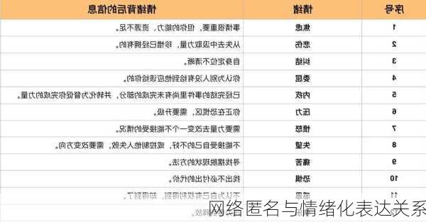 网络匿名与情绪化表达关系