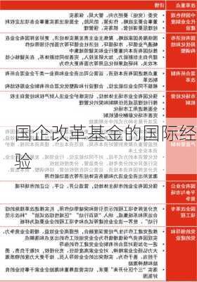 国企改革基金的国际经验