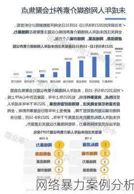 网络暴力案例分析