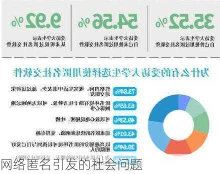 网络匿名引发的社会问题