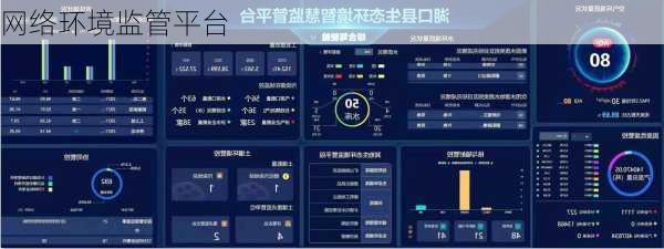 网络环境监管平台