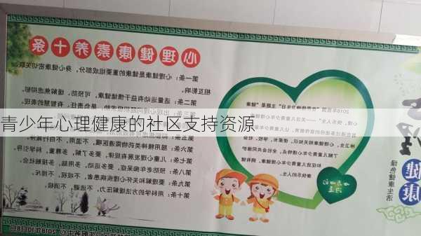 青少年心理健康的社区支持资源