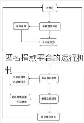 匿名捐款平台的运行机制