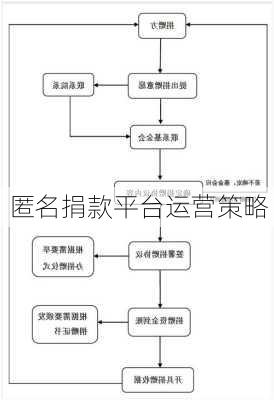 匿名捐款平台运营策略