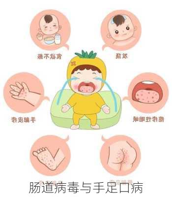 肠道病毒与手足口病