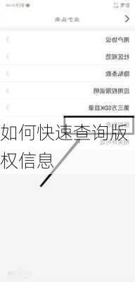 如何快速查询版权信息