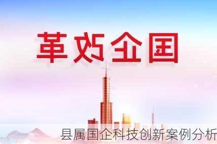 县属国企科技创新案例分析