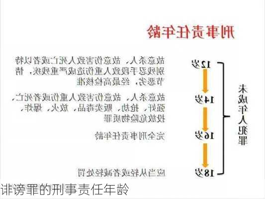 诽谤罪的刑事责任年龄