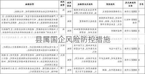 县属国企风险防控措施