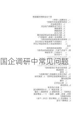 国企调研中常见问题