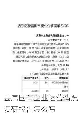 县属国有企业运营情况调研报告怎么写