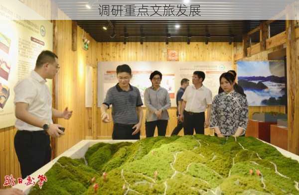 调研重点文旅发展