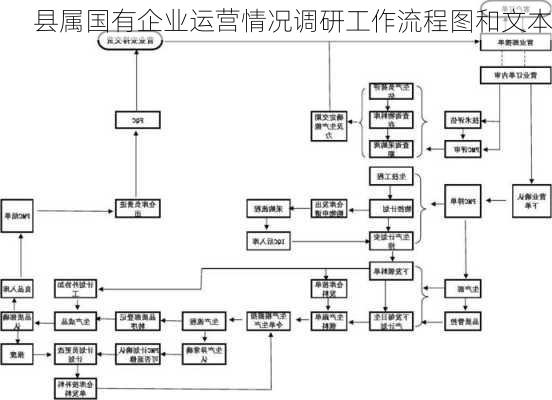 县属国有企业运营情况调研工作流程图和文本