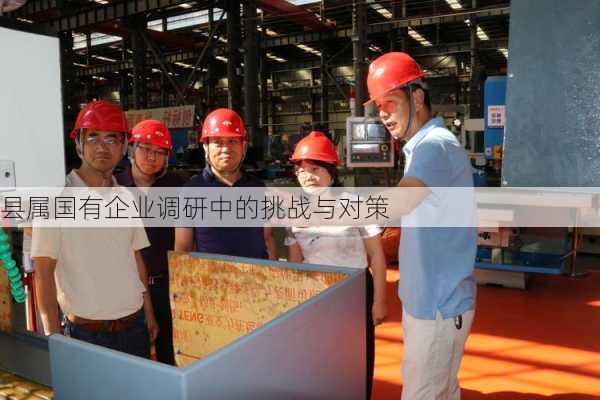 县属国有企业调研中的挑战与对策